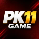 pk11 game