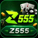 Z555 Game