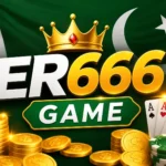 ER666 GAME