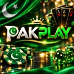 PakPlay Game App
