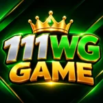 111WG Game